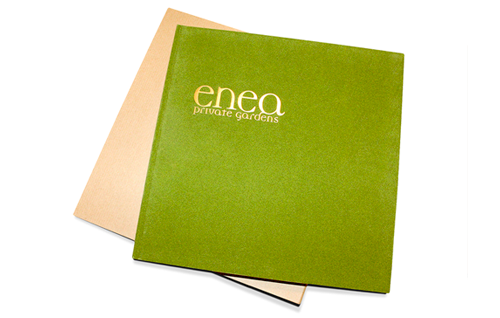 enea01 enea01